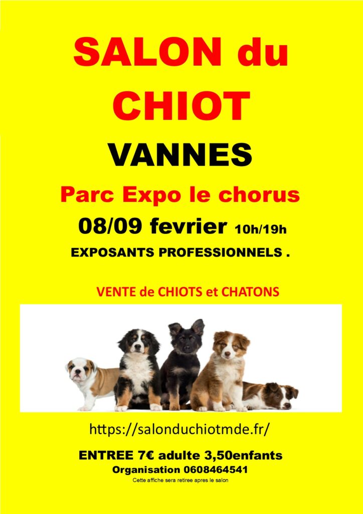 affiche vannes 2025