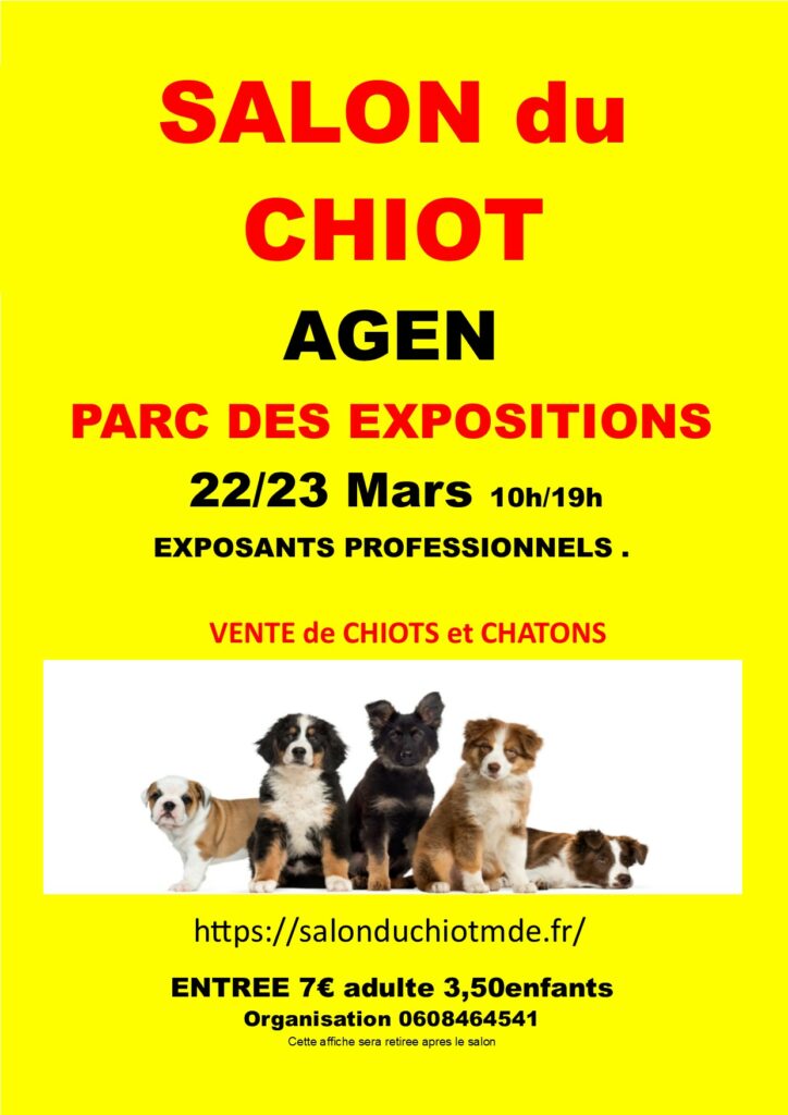 affiche AGEN 2025