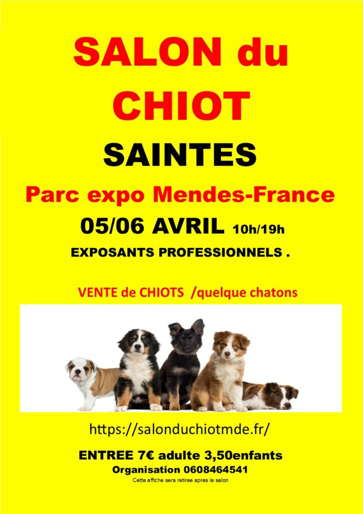 affiche SAINTES 2025 R