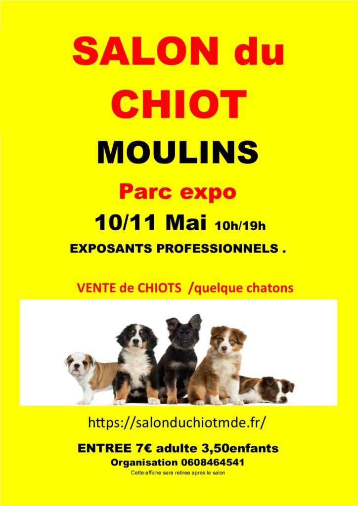 affiche MOULINS 2025