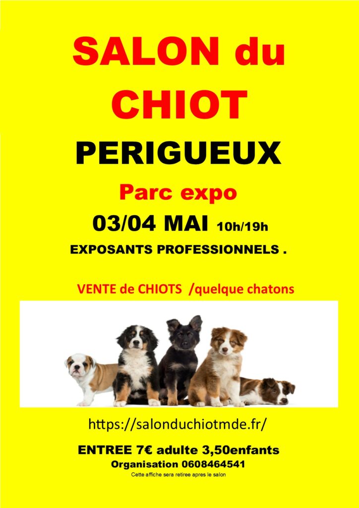 affiche PERIGUEUX 2025
