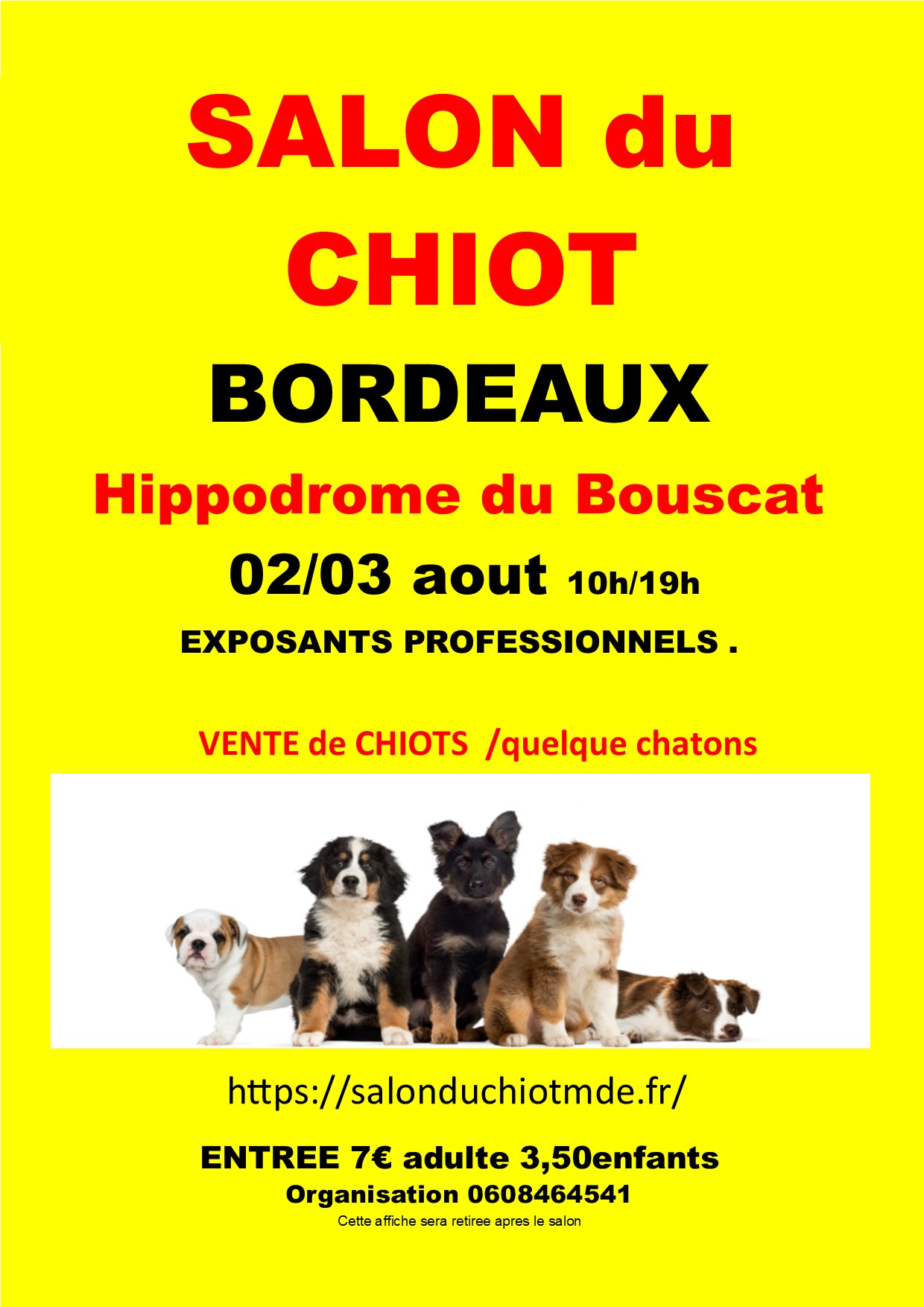 Bordeaux Hippodrome 02/03 aout2025