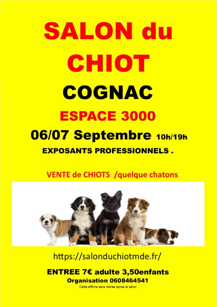 affiche cognac 2025