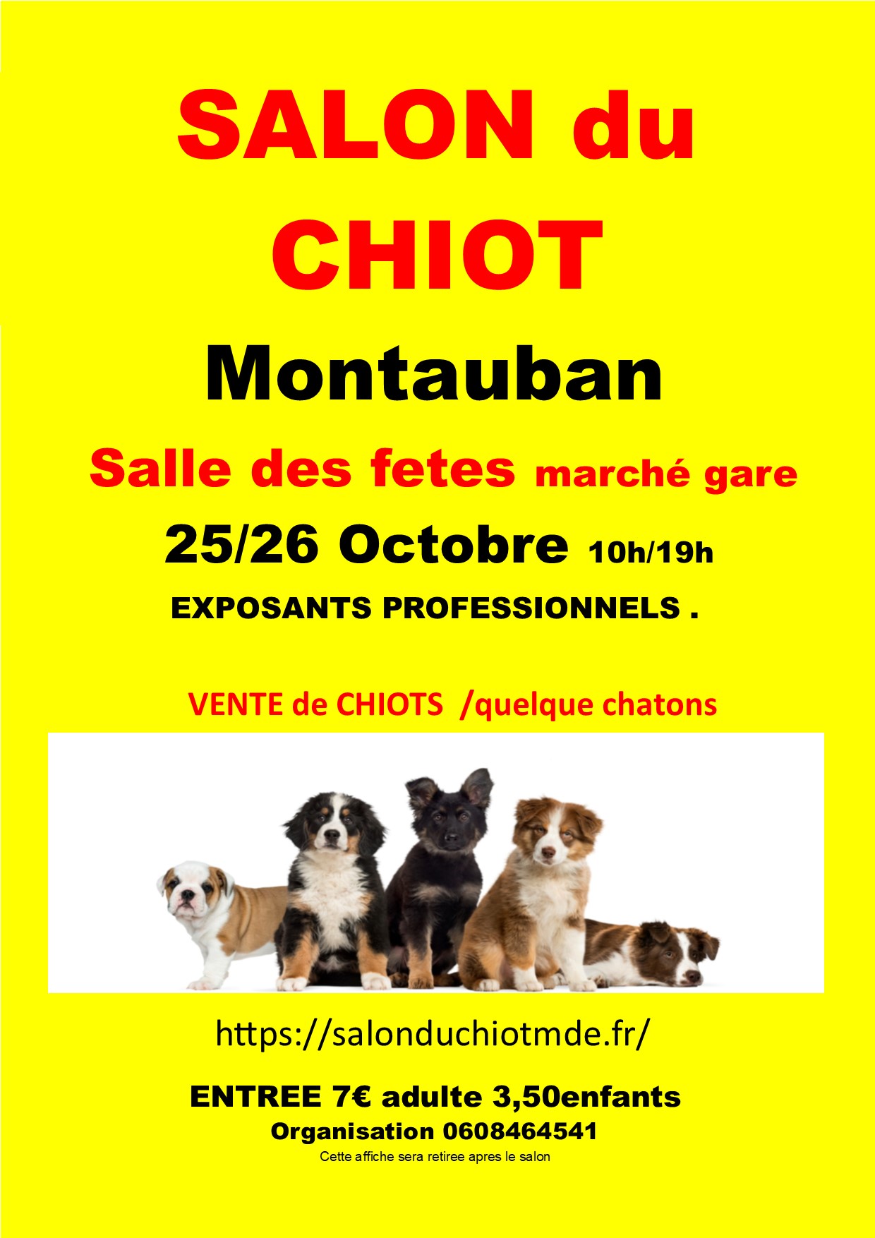 affiche Montauban 2025