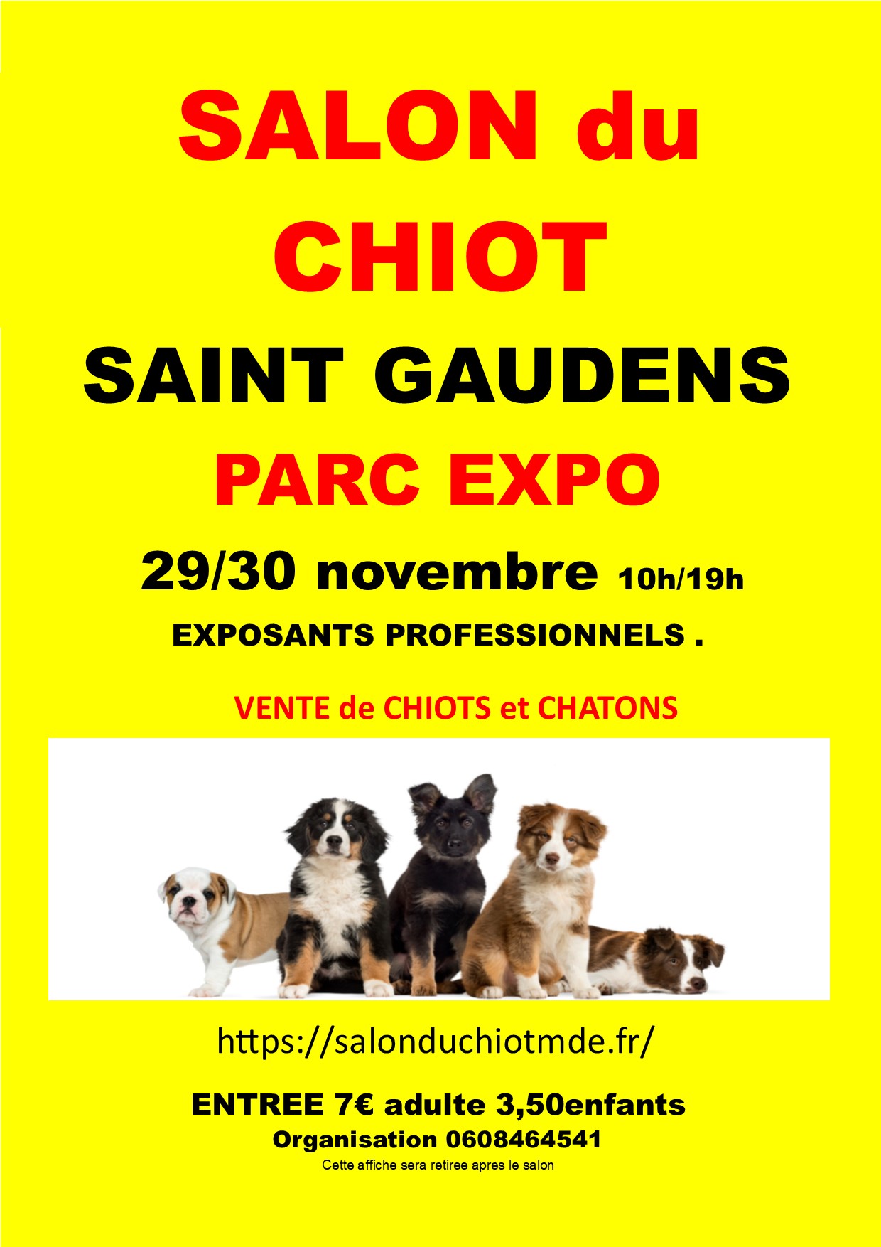 affiche SAINT GAUDENS 2025