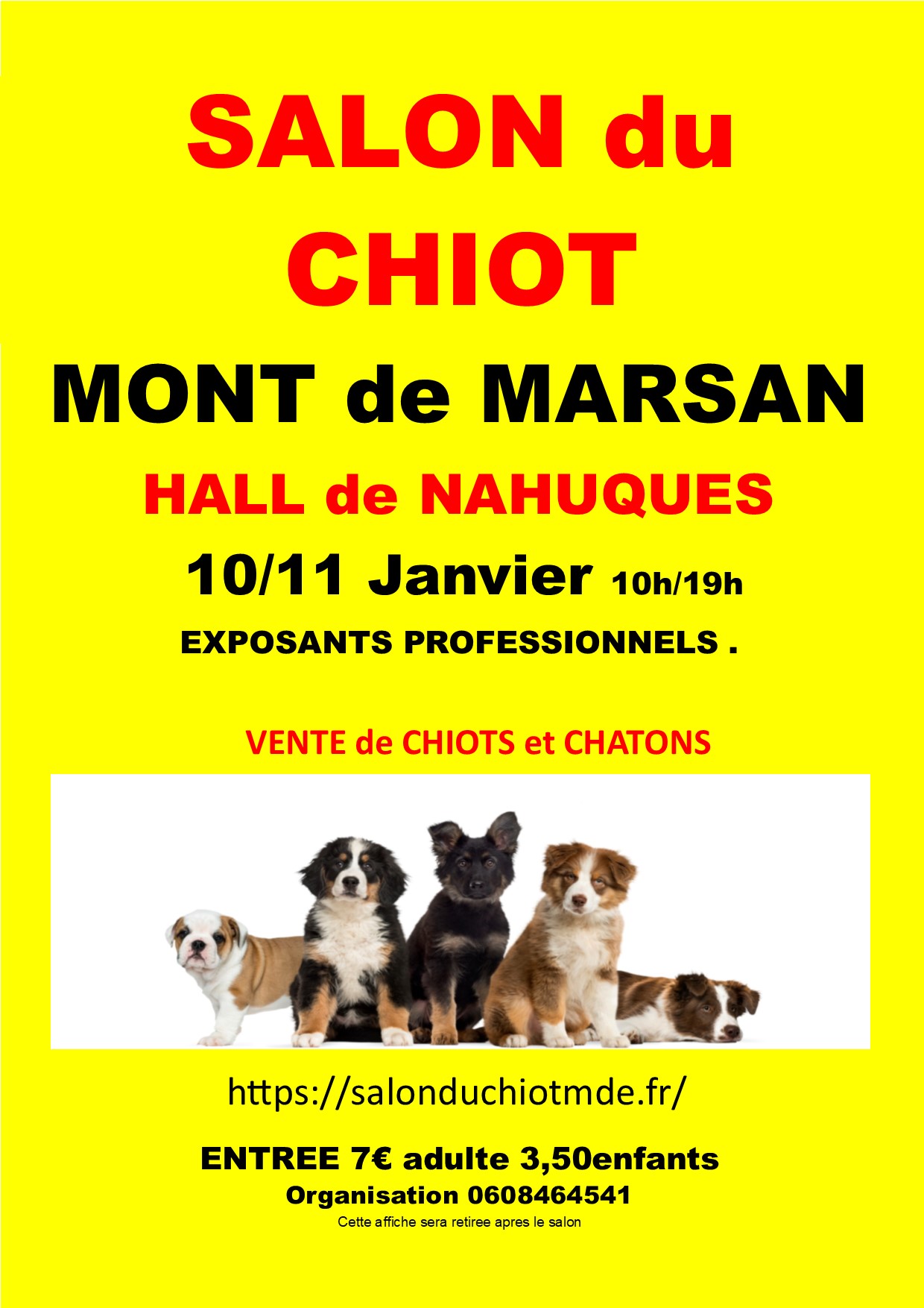 affiche mont de marsan 2026