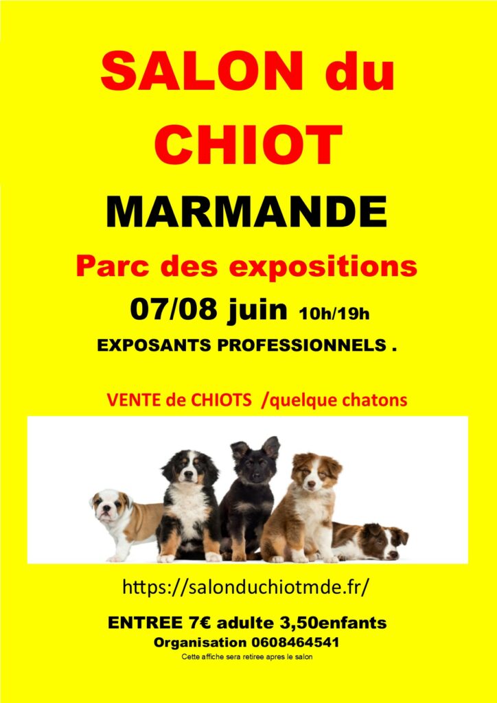 marmande 2025