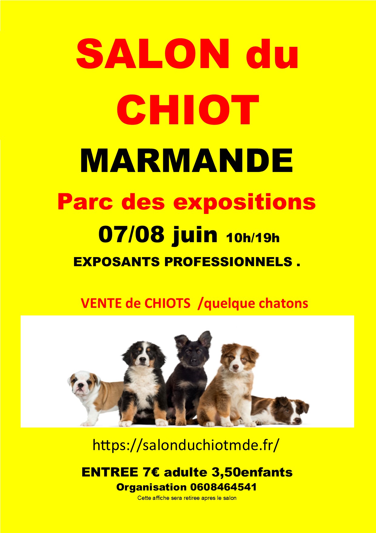 marmande 2025