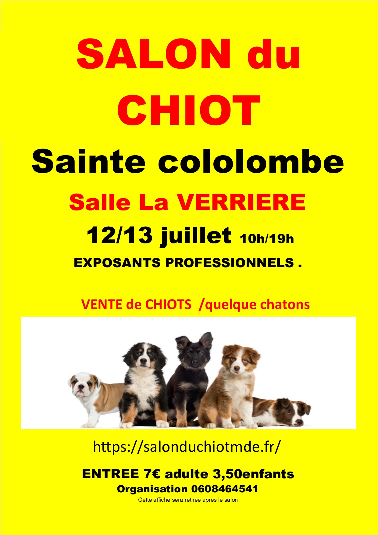 affiche vienne sainte colombe 2025