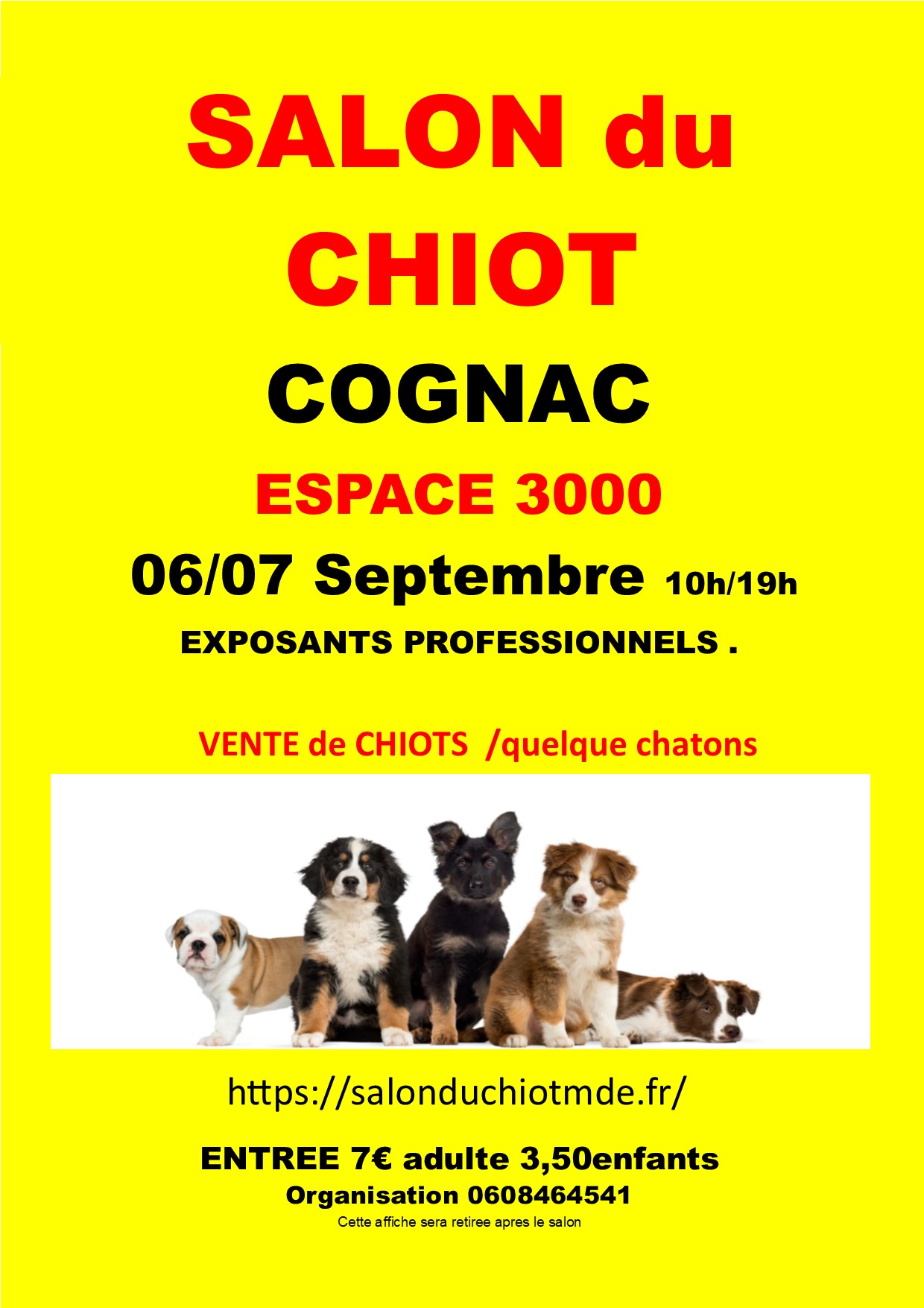 affiche cognac 2025