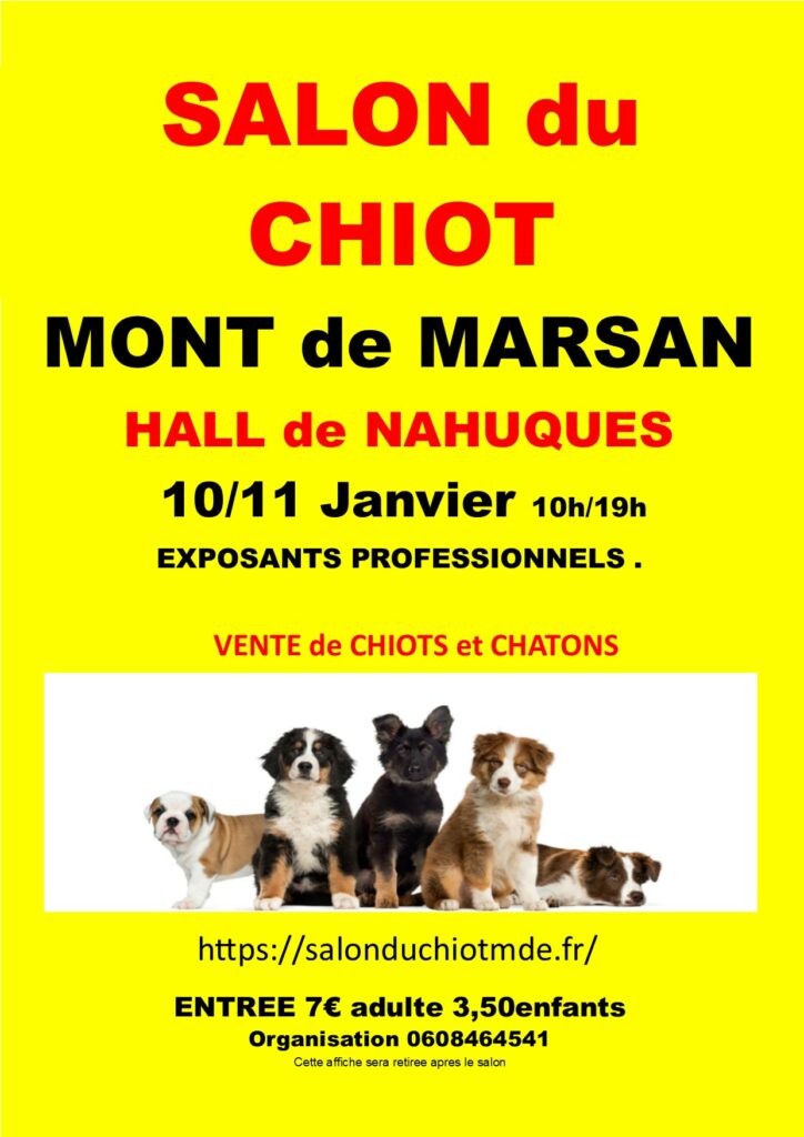 affiche mont de marsan 2026