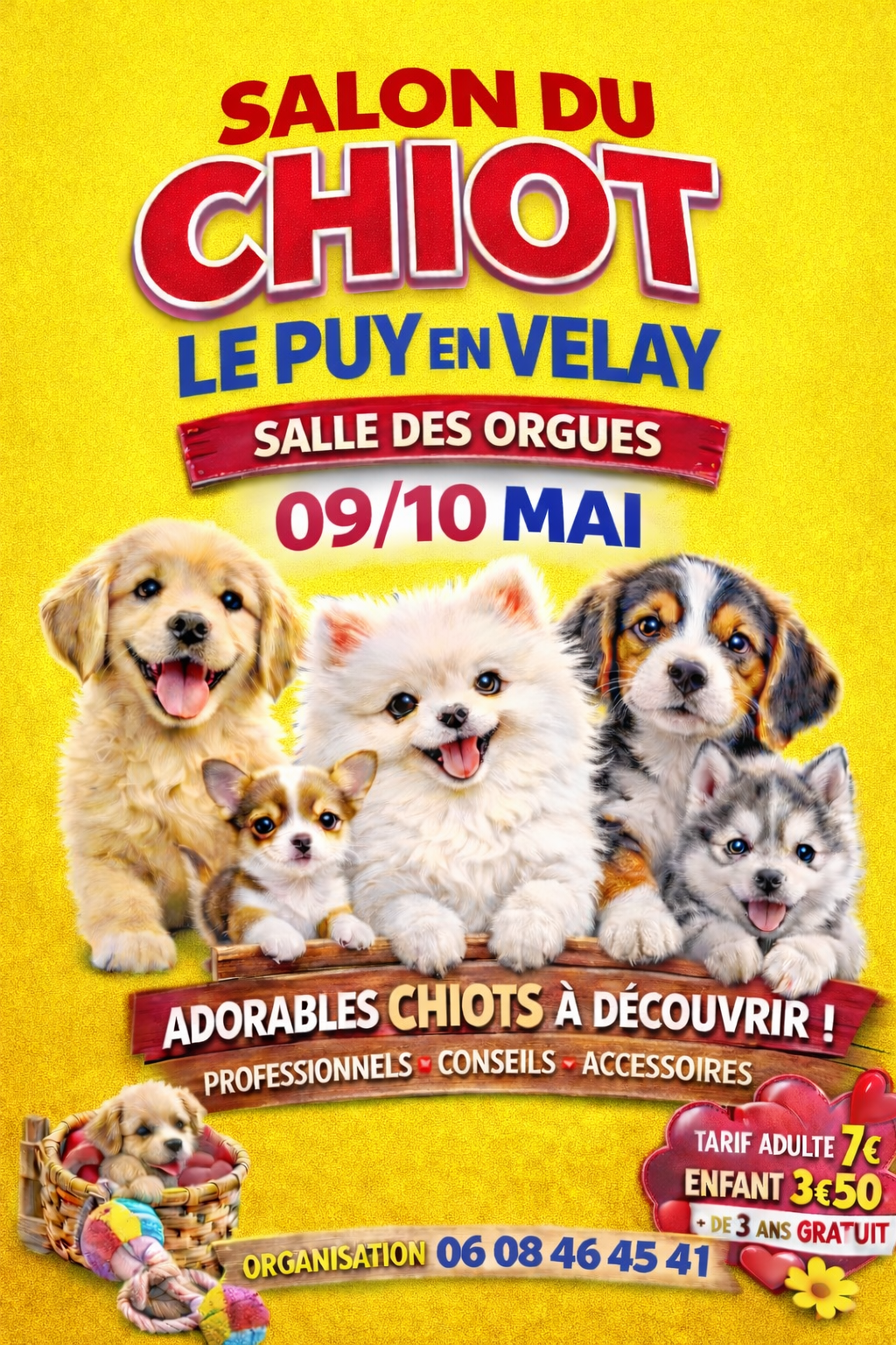 affiche puy en velay